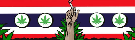 Thailand legalizes Marijuana or does it?